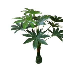 PLANTA ARALIA JAPONICA ARTIFICIAL